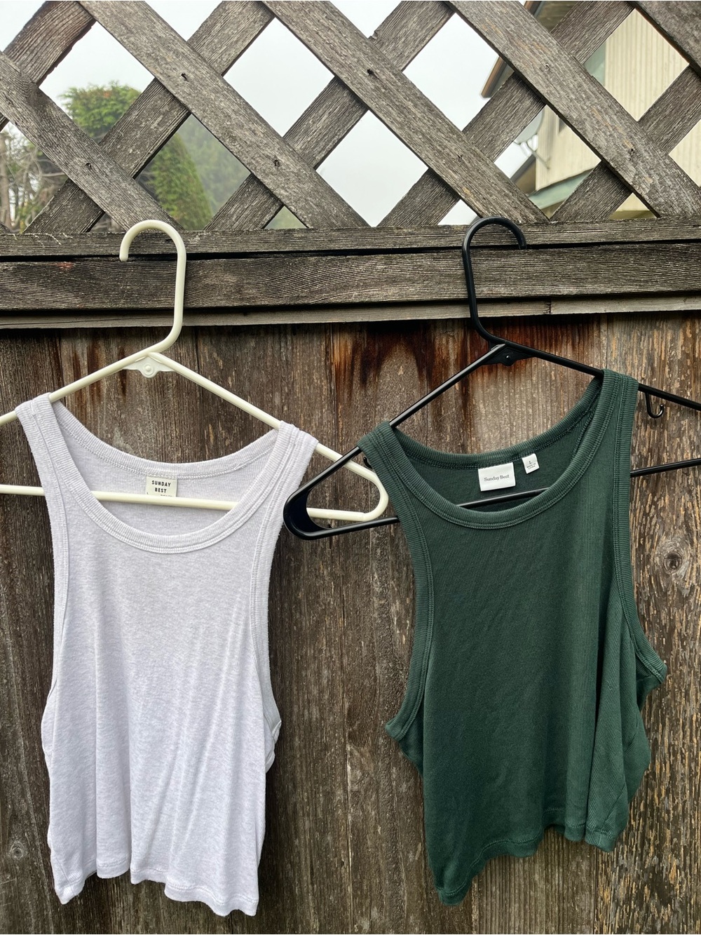 Aritzia Sunday Best Honor Tanks (Two Pieces)